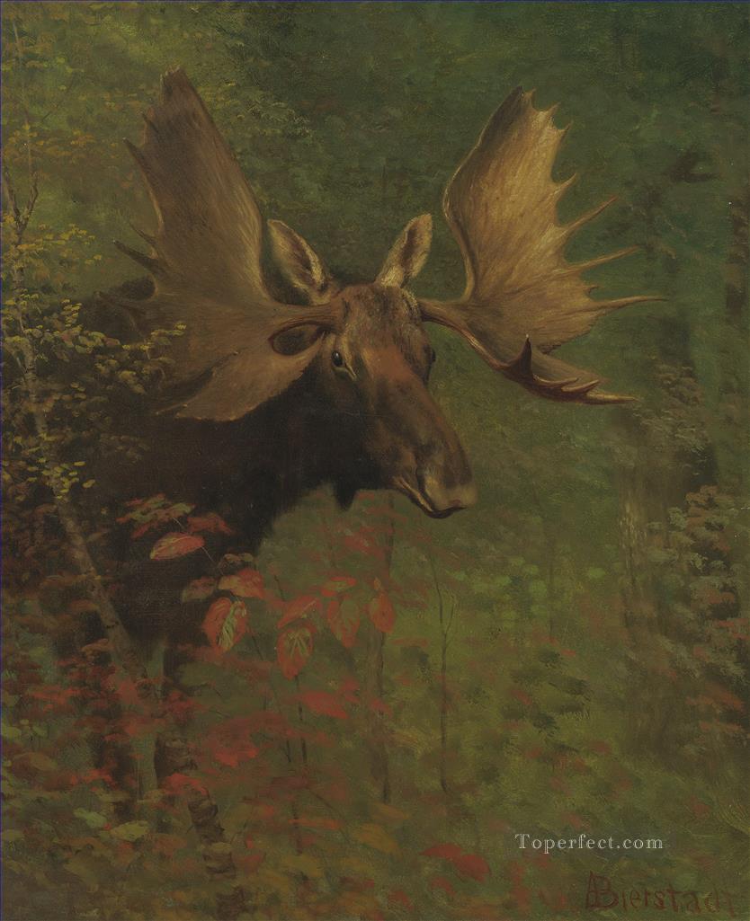 STUDY OF A MOOSE American Albert Bierstadt Oil Paintings